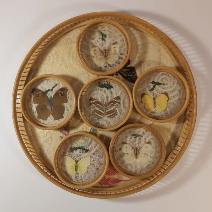 Plateau et sous-verres papillon