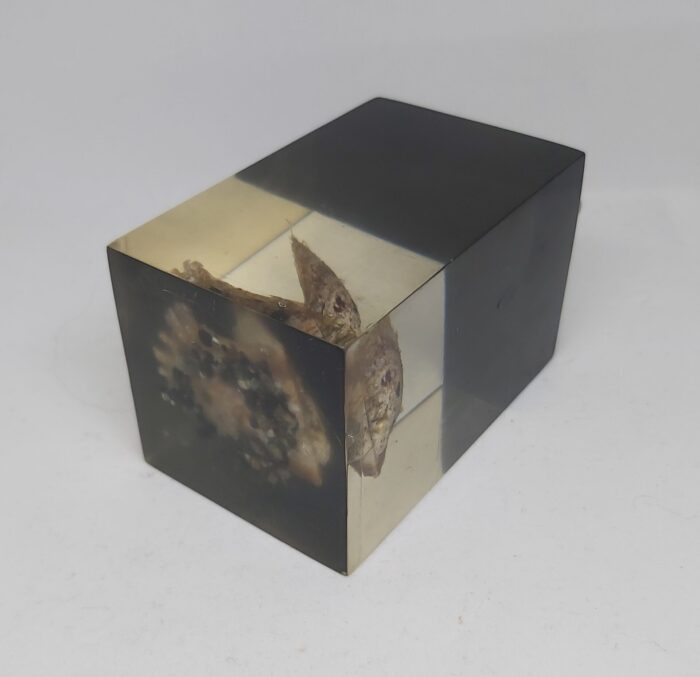 Briquet de table en inclusion sous résine – Image 10