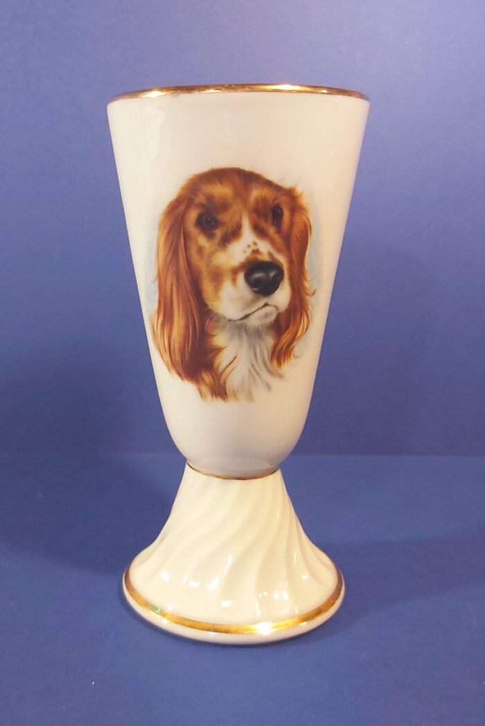 Mazagran publicitaire Royal Canin – Image 6
