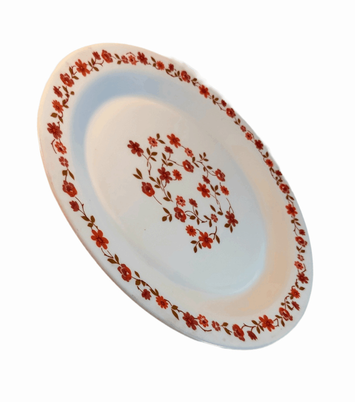 Plat Arcopal modèle Scania – Image 3