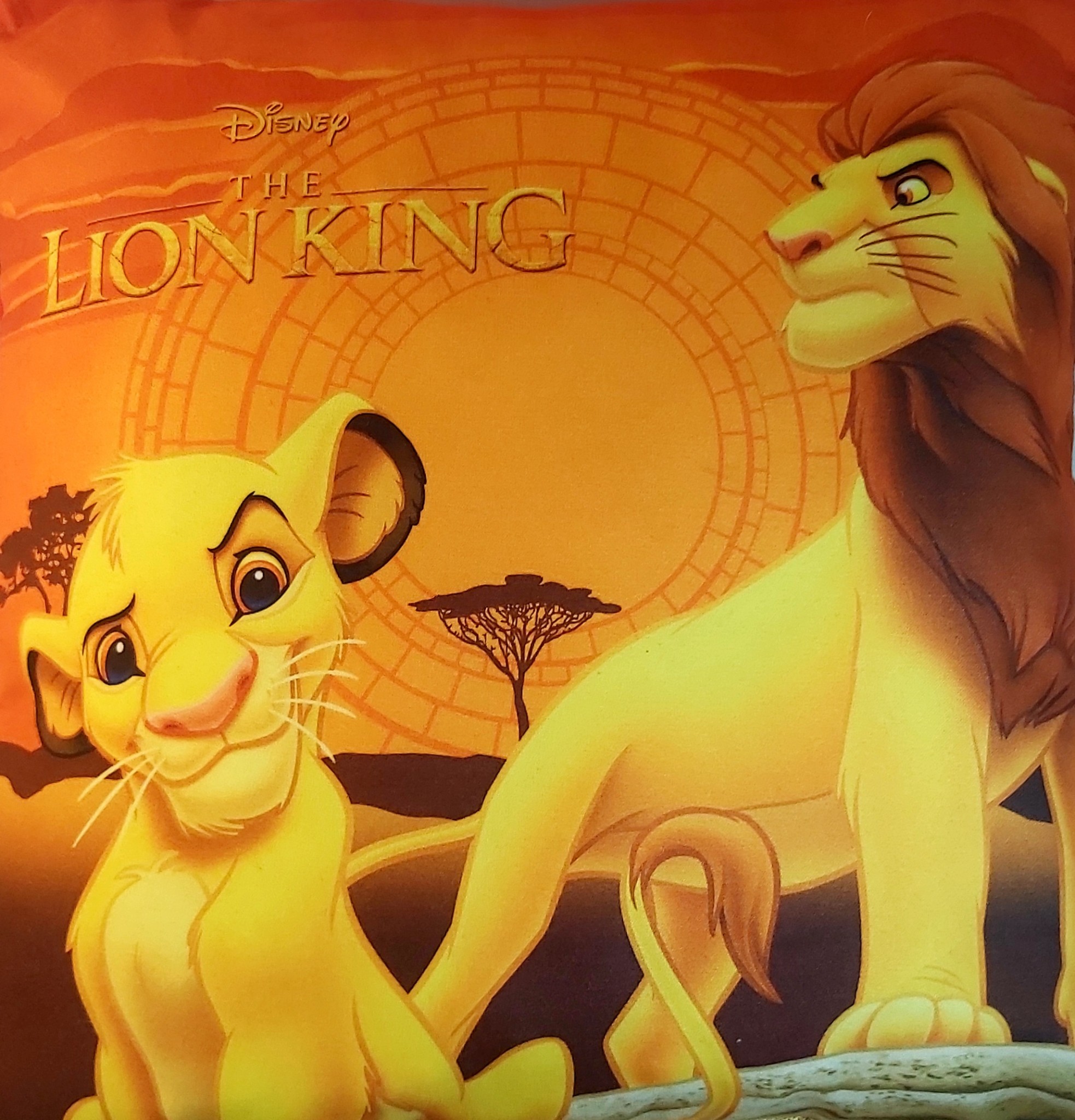 Le Roi Lion Coussin ⋆