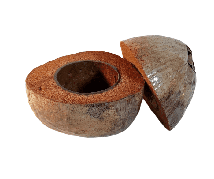 Seau à Glaçons Noix de Coco – Image 6