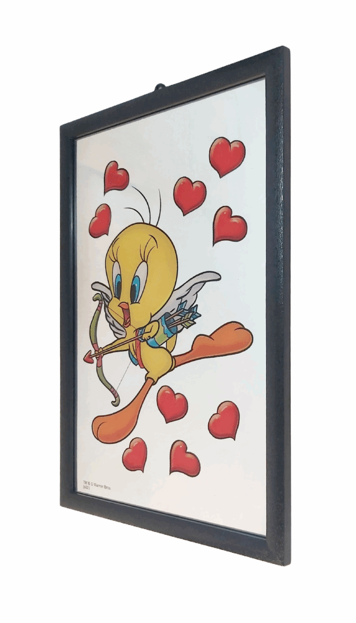 Titi Miroir – Image 3