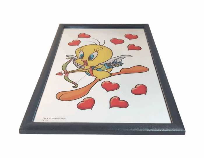Titi Miroir – Image 2