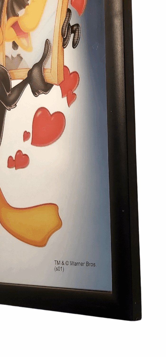 Daffy Duck Miroir – Image 4