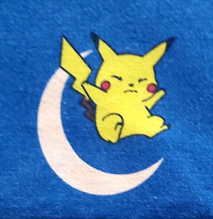 Pokémon Housse de Couette – Image 6