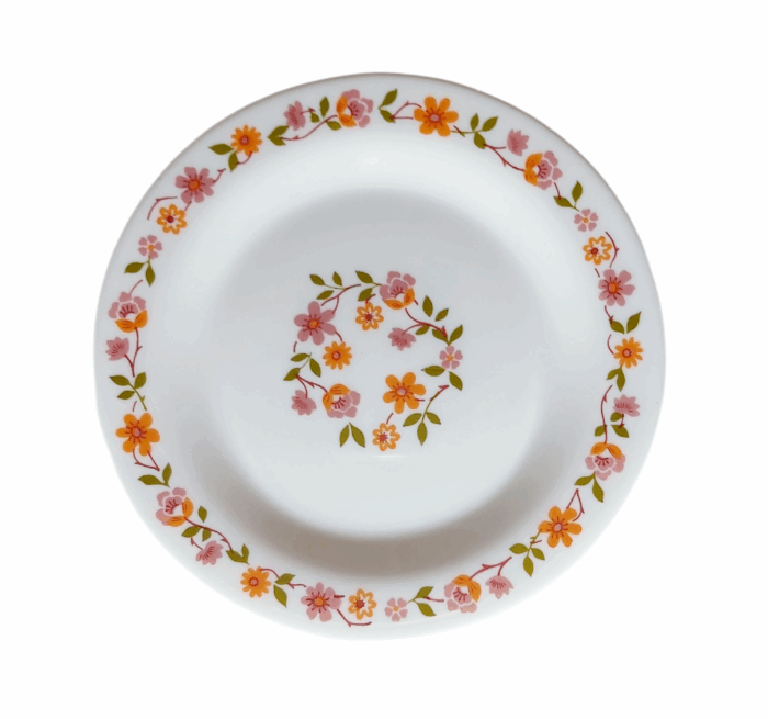 Assiettes à Dessert Arcopal Modèle Scania – Image 3