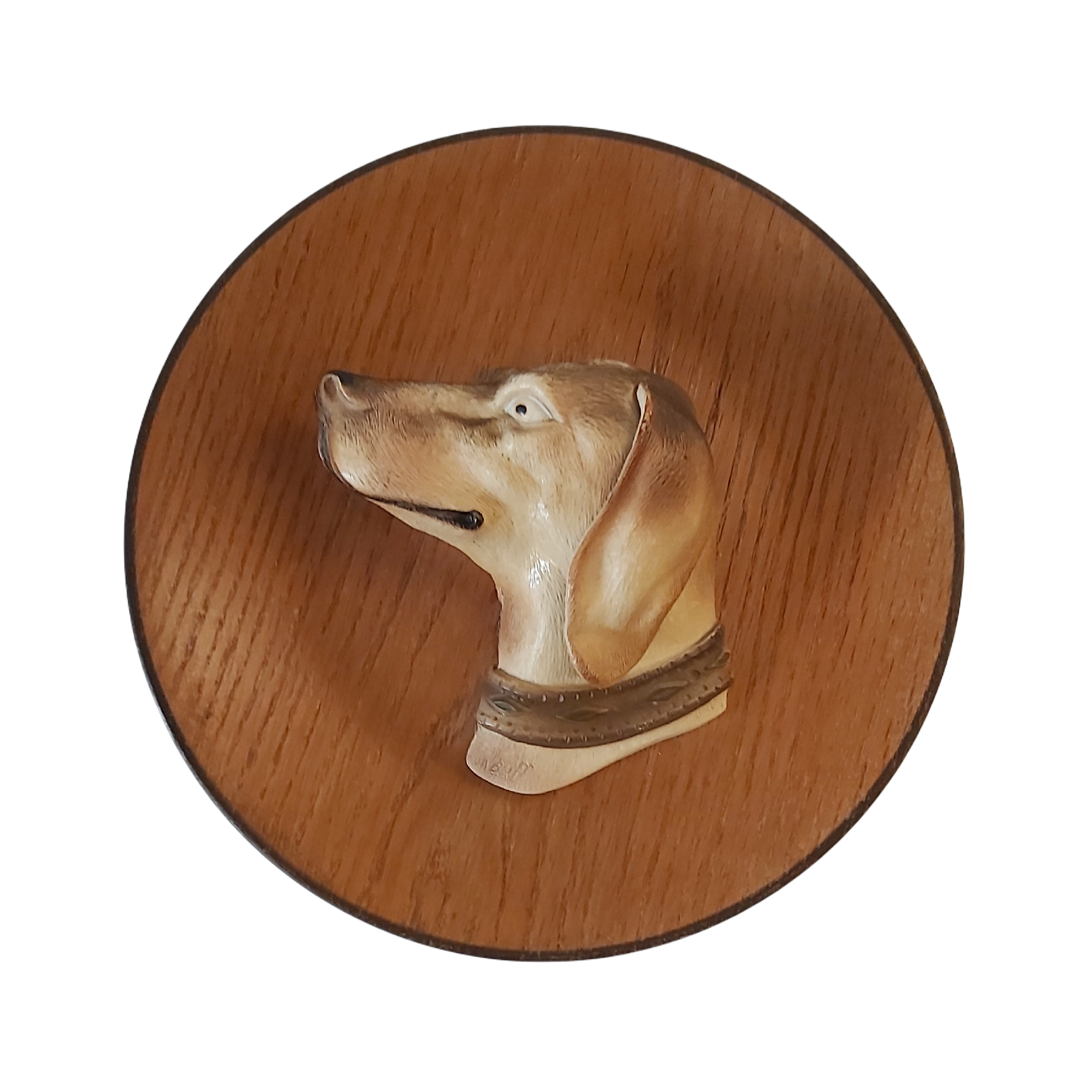 Assiette Décorative Tête de Chien Kitsch