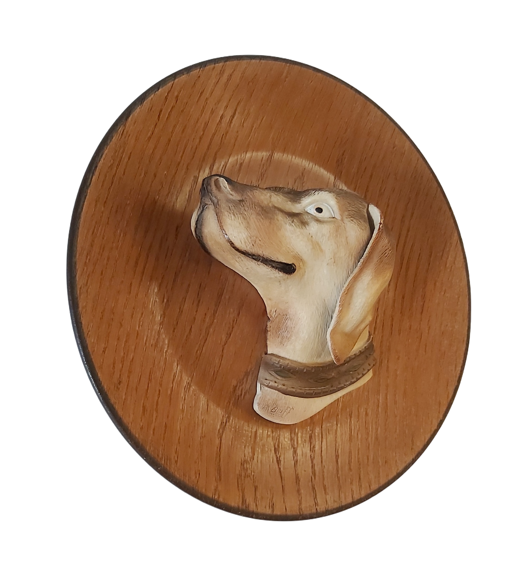 Assiette Décorative Tête de Chien Kitsch – Image 2