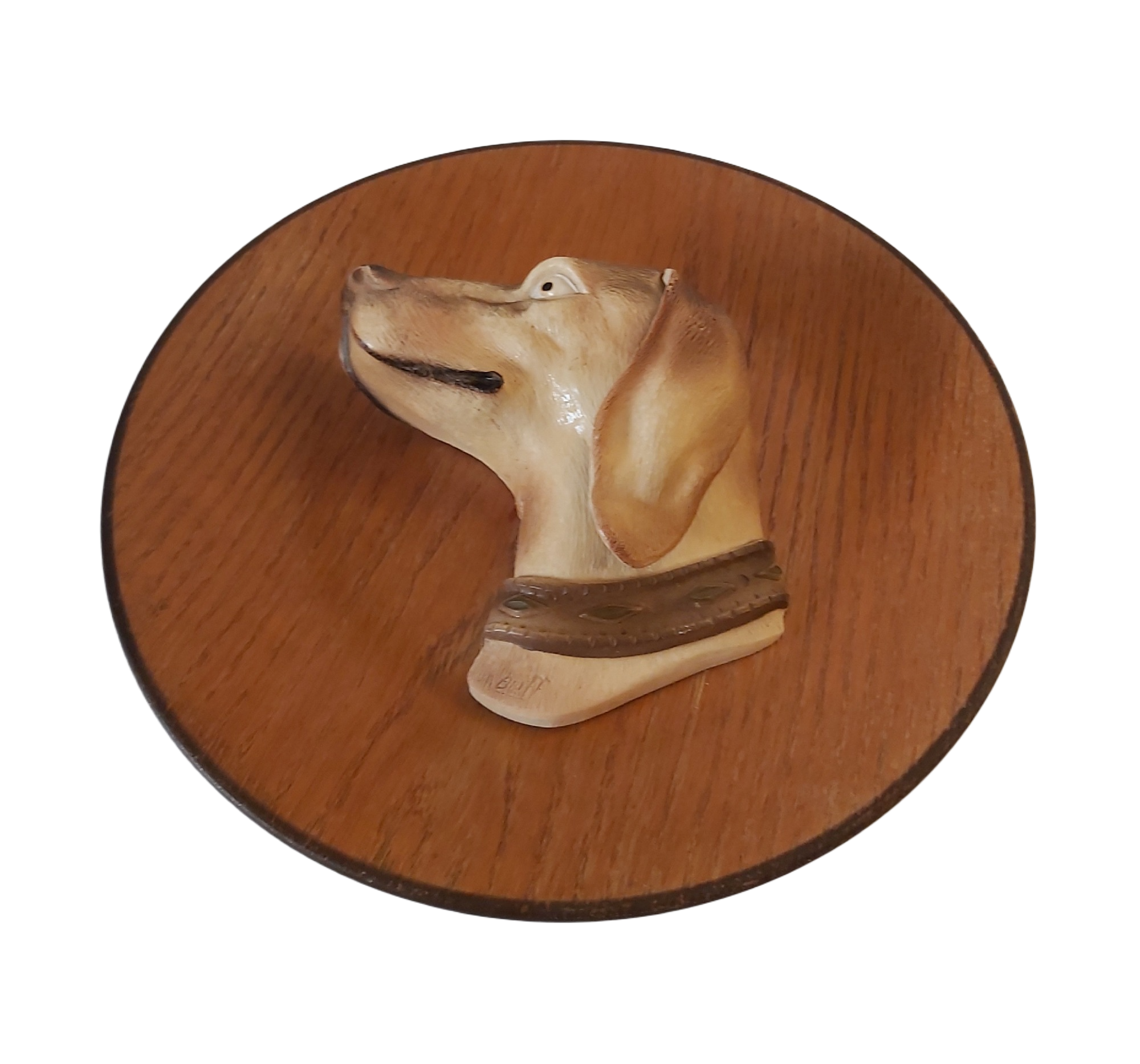 Assiette Décorative Tête de Chien Kitsch – Image 3