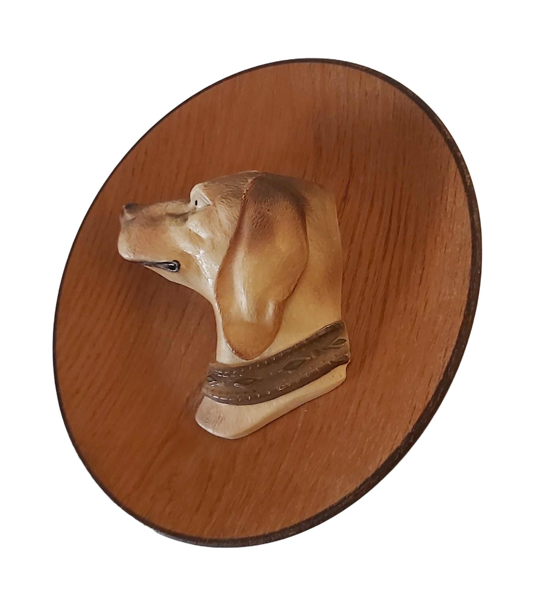 Assiette Décorative Tête de Chien Kitsch – Image 4