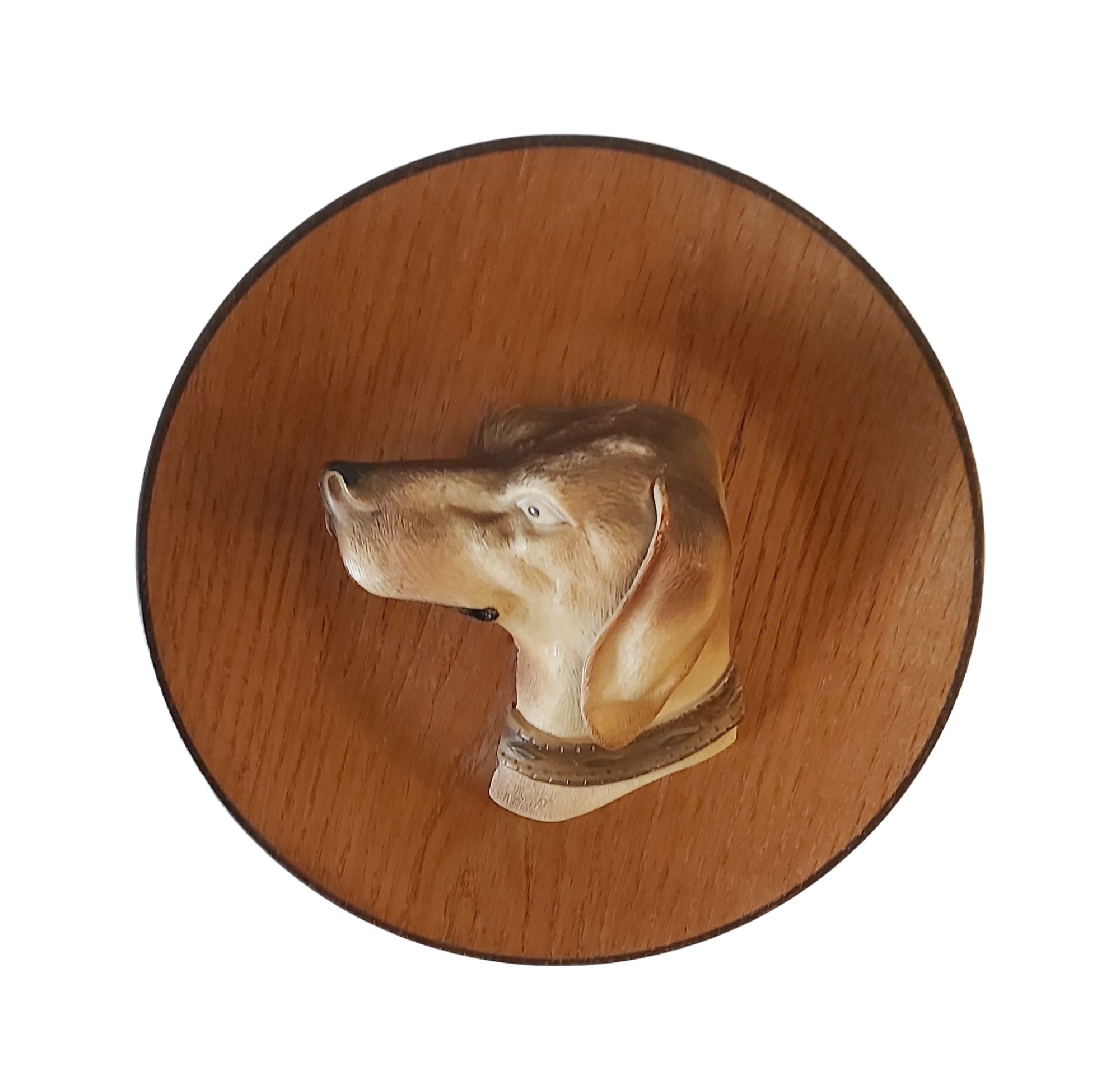 Assiette Décorative Tête de Chien Kitsch – Image 5