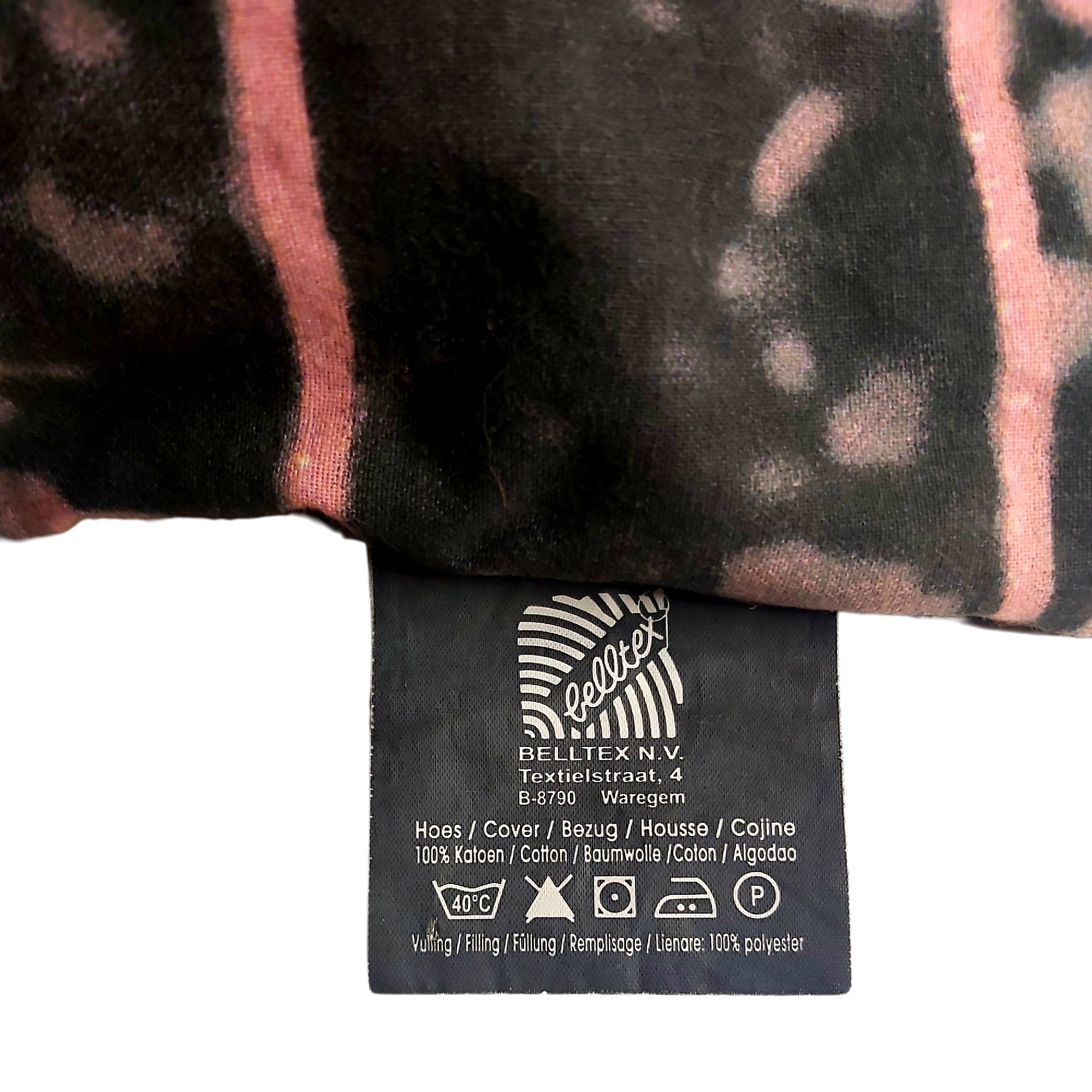 WWW Catcheur Batista Coussin – Image 4