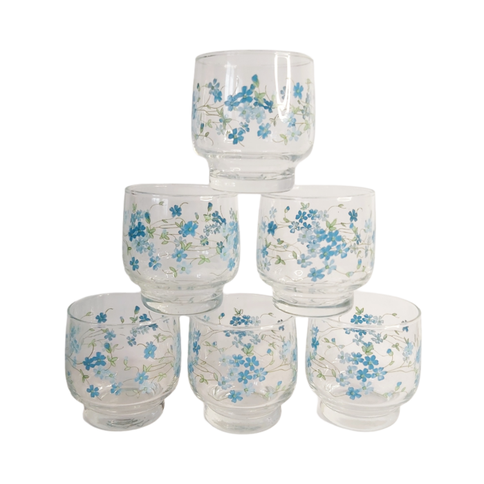 Verres Myosotis Veronica