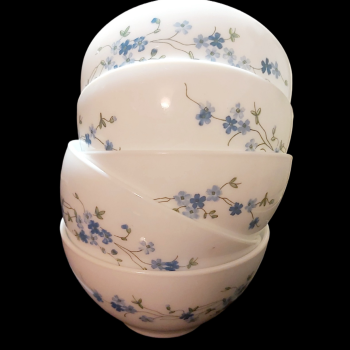 Bols Arcopal Myosotis Veronica