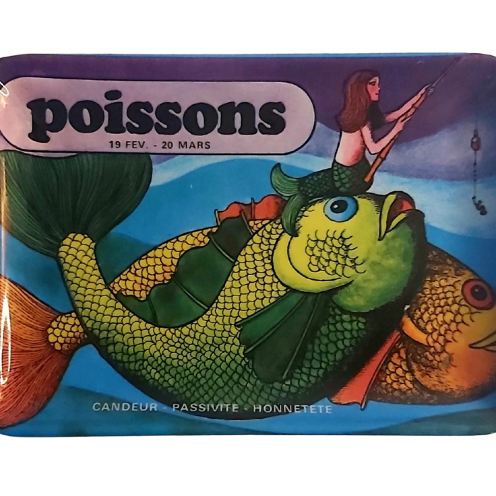 Vide Poche Signe du Zodiaque Poissons