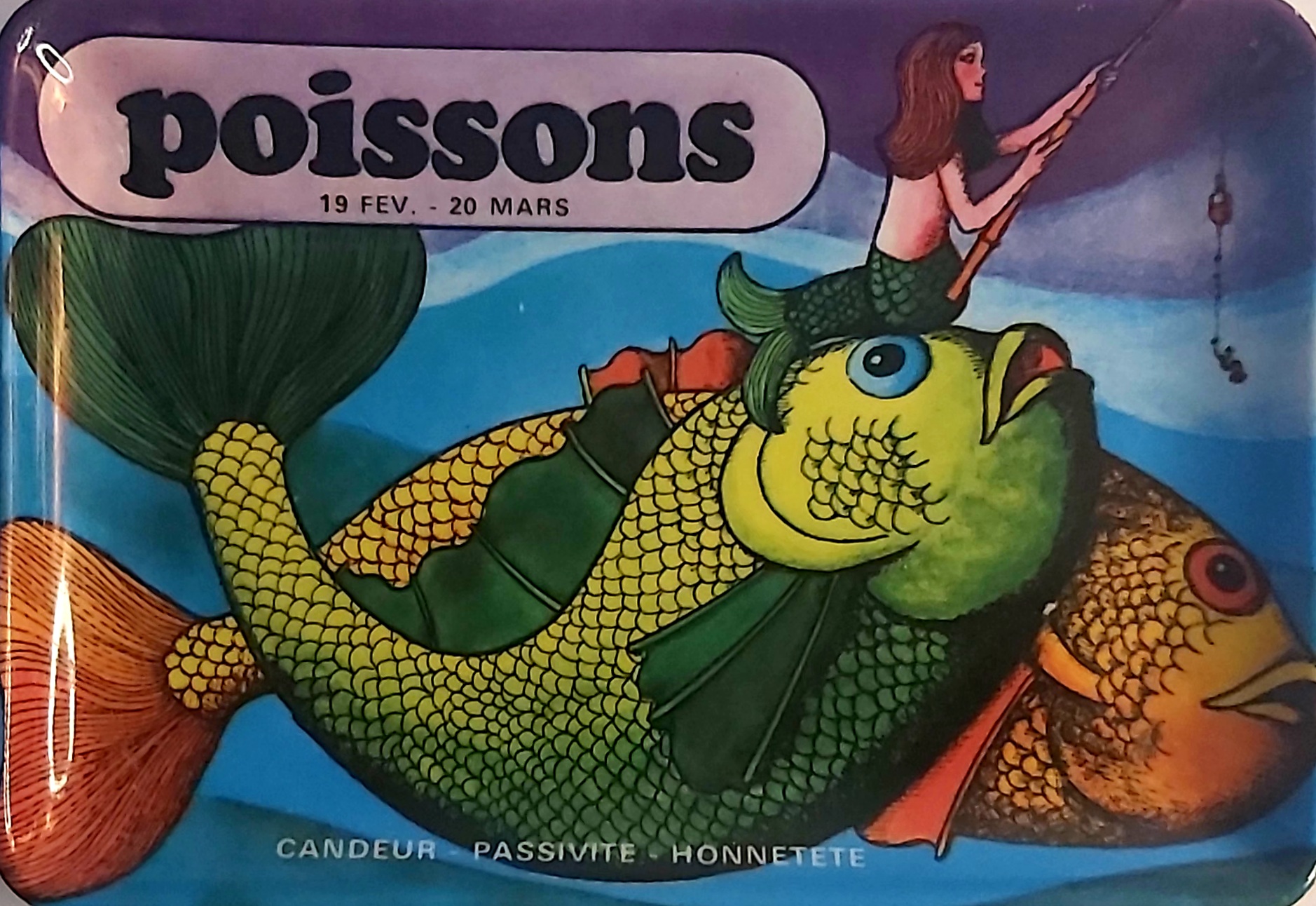 Vide Poche Signe du Zodiaque Poissons – Image 2
