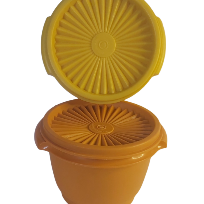 Tupperware Boîtes Soleil