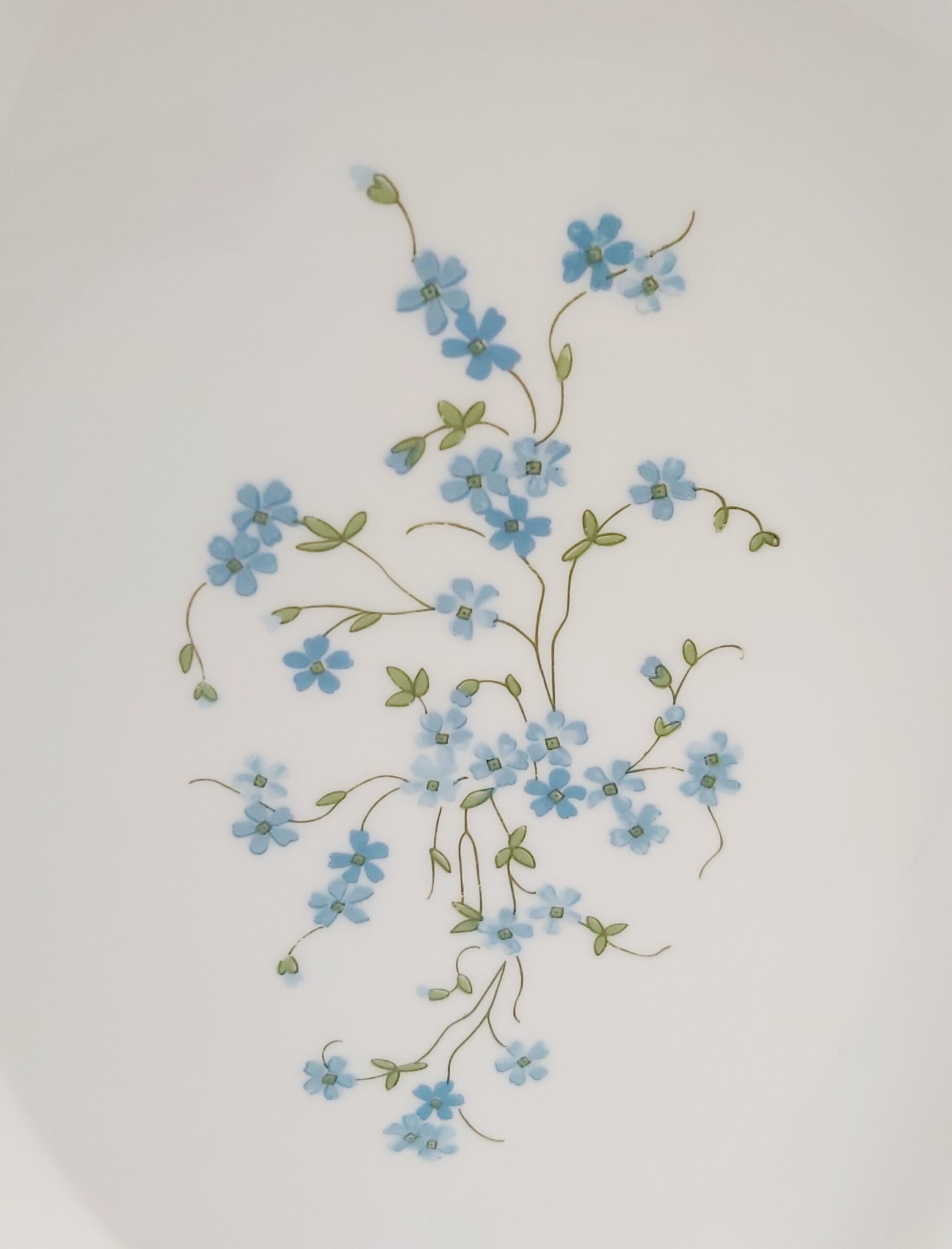 Arcopal Myosotis Veronica Lot De 2 Plats Vintage (Grand Plat + Ravier) – Image 2